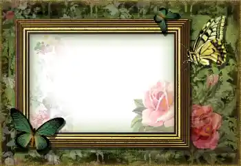 Foto effect van de categorie Verschillend № 203270