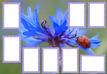 Foto effect van de categorie Verschillend № 205529