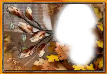 Foto effect van de categorie Verschillend № 205533 Foto effect van de categorie Verschillend № 205533