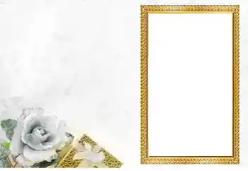 Foto effect van de categorie Verschillend № 205560 Foto effect van de categorie Verschillend № 205560