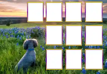 Foto effect van de categorie Verschillend № 205604 Foto effect van de categorie Verschillend № 205604