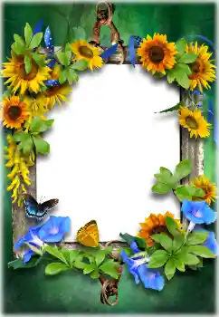 Foto effect van de categorie Verschillend № 205611 Foto effect van de categorie Verschillend № 205611