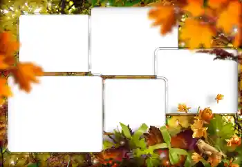 Foto effect van de categorie Verschillend № 205794 Foto effect van de categorie Verschillend № 205794