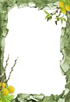 Foto effect van de categorie Verschillend № 205798 Foto effect van de categorie Verschillend № 205798