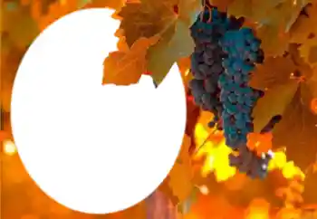 Foto effect van de categorie Verschillend № 205802 Foto effect van de categorie Verschillend № 205802