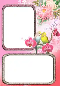 Foto effect van de categorie Verschillend № 24272