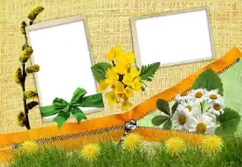 Foto effect van de categorie Verschillend № 24285