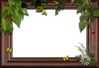 Foto effect van de categorie Verschillend № 24288