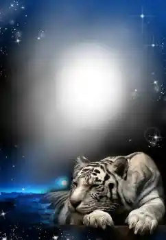 Foto effect van de categorie Verschillend № 24304