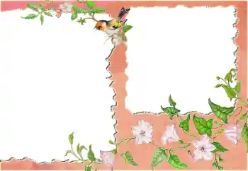 Foto effect van de categorie Verschillend № 24418