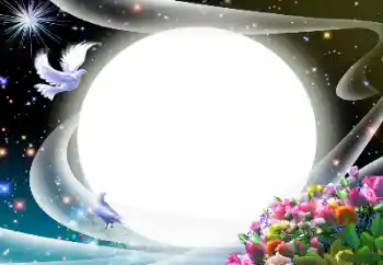 Foto effect van de categorie Verschillend № 24510