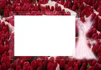 Foto effect van de categorie Verschillend № 2452