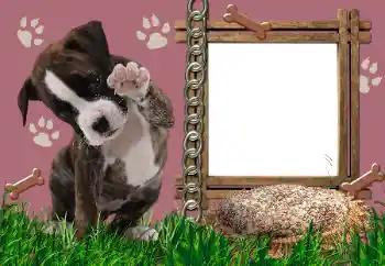 Foto effect van de categorie Verschillend № 24550