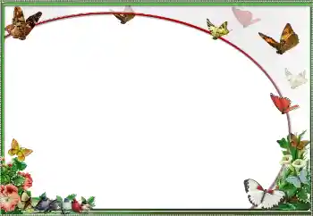 Foto effect van de categorie Verschillend № 25484