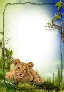 Foto effect van de categorie Verschillend № 26572