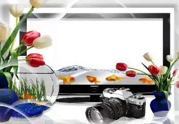 Foto effect van de categorie Verschillend № 26669