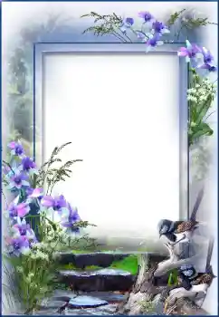 Foto effect van de categorie Verschillend № 27695