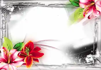 Foto effect van de categorie Verschillend № 2804