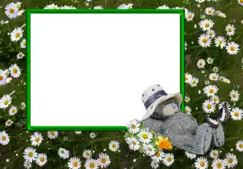 Foto effect van de categorie Verschillend № 2893