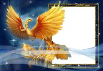 Foto effect van de categorie Verschillend № 3018