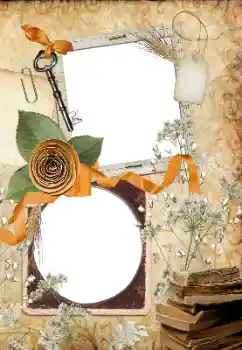 Foto effect van de categorie Verschillend № 33766