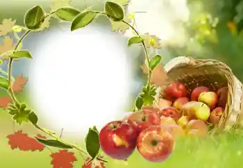 Foto effect van de categorie Verschillend № 34029