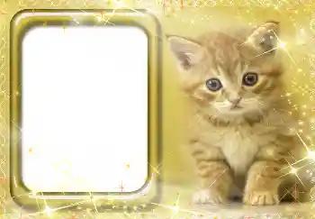 Foto effect van de categorie Verschillend № 3412