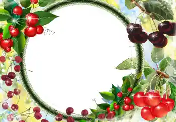 Foto effect van de categorie Verschillend № 3416