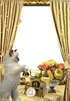 Foto effect van de categorie Verschillend № 3419