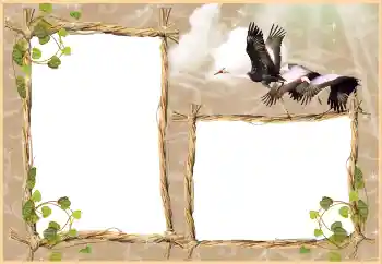 Foto effect van de categorie Verschillend № 3430