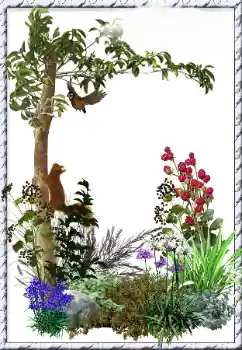 Foto effect van de categorie Verschillend № 34798