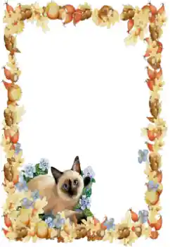 Foto effect van de categorie Verschillend № 34851