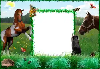 Foto effect van de categorie Verschillend № 34915