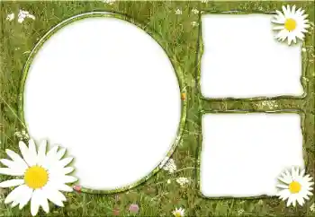 Foto effect van de categorie Verschillend № 34932