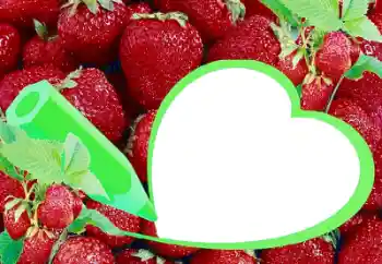 Foto effect van de categorie Verschillend № 36225