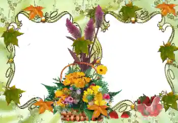 Foto effect van de categorie Verschillend № 36278