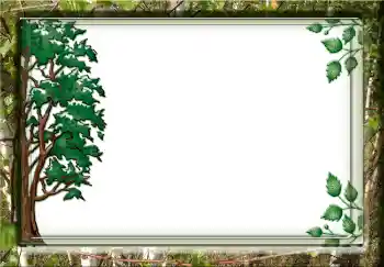 Foto effect van de categorie Verschillend № 3732