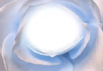 Foto effect van de categorie Verschillend № 38328