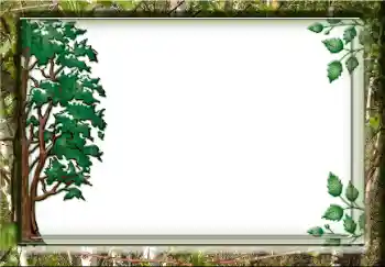 Foto effect van de categorie Verschillend № 38357