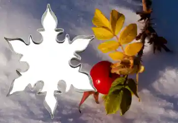 Foto effect van de categorie Verschillend № 38548