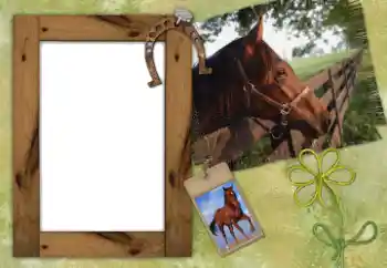 Foto effect van de categorie Verschillend № 38802