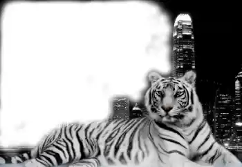 Foto effect van de categorie Verschillend № 38947