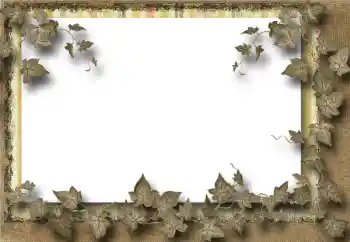 Foto effect van de categorie Verschillend № 39069