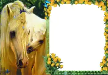 Foto effect van de categorie Verschillend № 40511