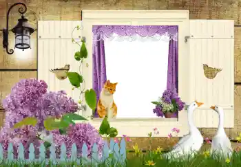 Foto effect van de categorie Verschillend № 42597