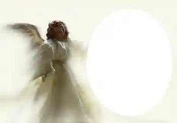 Foto effect van de categorie Verschillend № 4541