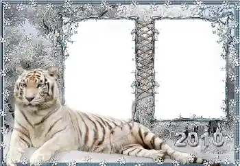 Foto effect van de categorie Verschillend № 45917