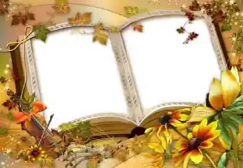 Foto effect van de categorie Verschillend № 47137