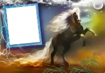 Foto effect van de categorie Verschillend № 47248