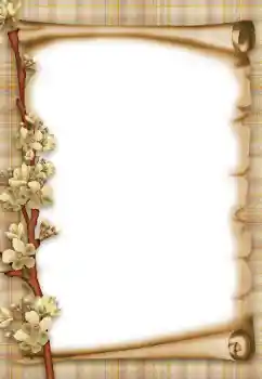 Foto effect van de categorie Verschillend № 47303